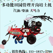 ��ݮ����Nֲ�_�����řC �r�����C ����ʽ���[��������������