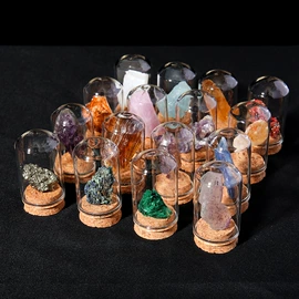 水晶工艺品;海螺/贝壳;标本