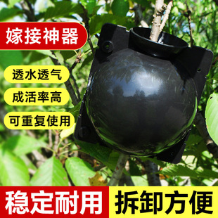 ֲ��߉��� ��ֳ�� Ǥ��޽���������ֳ��@�ֈ@ˇ���䉺֦�߉���