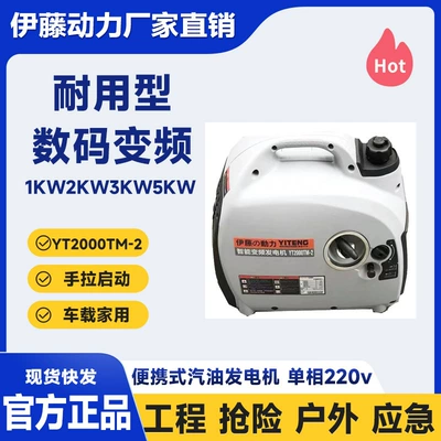 Single-phase 220v, Avtomobil generatorları