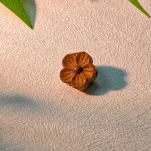 ��ș��Ȼ����С�����L���diy���ֹ����������l�Ʒ10������