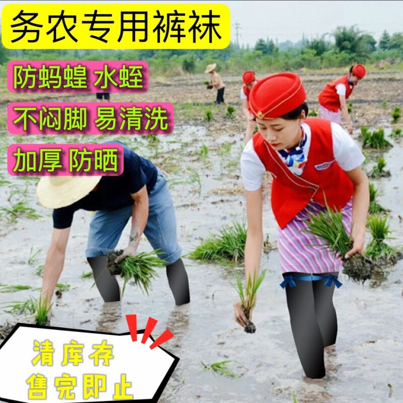 Shitian Seedling-Proof Leech-Proof Stockings, Anti-Mosquito Stockings for Working in the Field, Thickeneded High-Elasticity Special Socks for Tea Picking