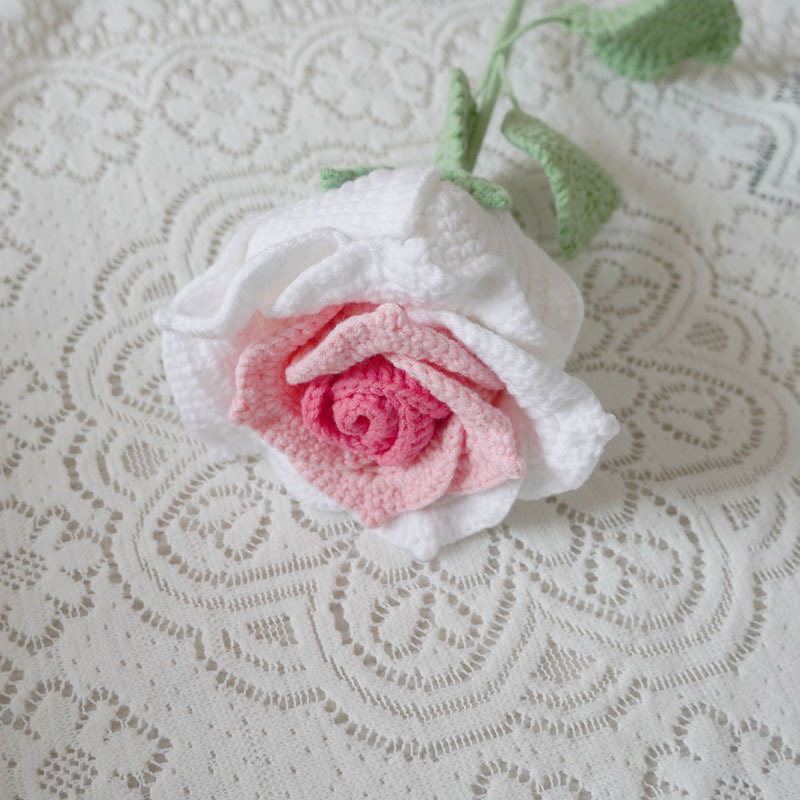 Producto terminado-polvo tailandés de la manera del gradiente de la rosa