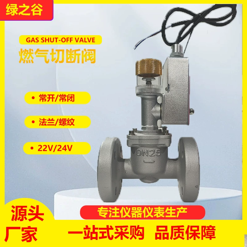 Газовый аварийный запорный клапан Газовый природный сжиженный газ детектор утечки промышленной взрывозащищенный фланец резьба