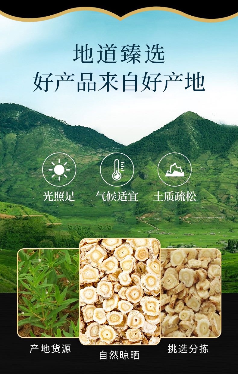 Bei Sha Shen (Glehnia littoralis) — Dried Coastal Glehnia Root, Sliced or Powdered overview