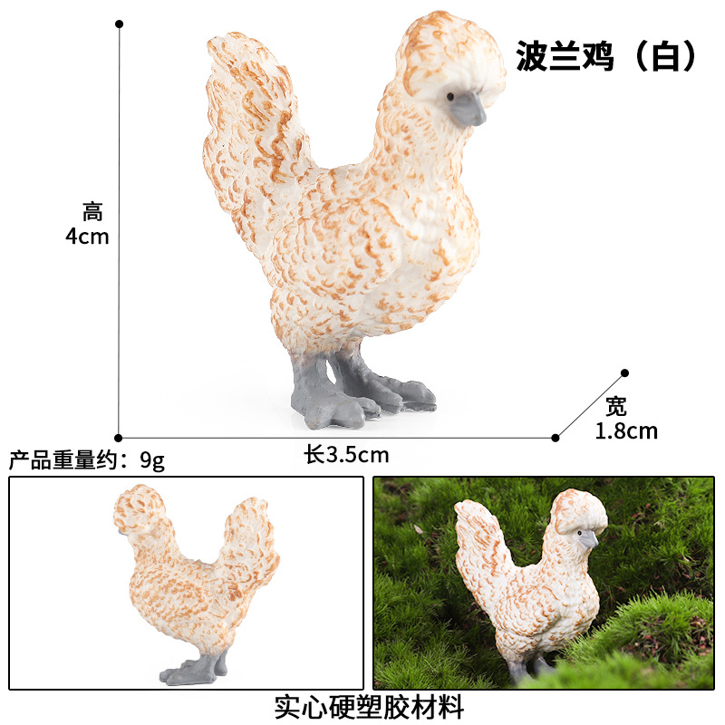 M-2937 폴란드 치킨 (화이트)