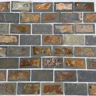 ��ʯ��Ģ��ʯ��͹���⠝�uͥԺ�@�ֹ��@���N�e����u�����Ļ�ʯ