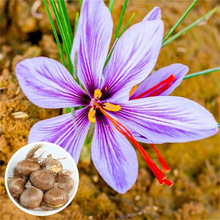 �ؼt���N��������ș��ʳ�����ط��t������ﶬ���ͺ��̓����ܷN��