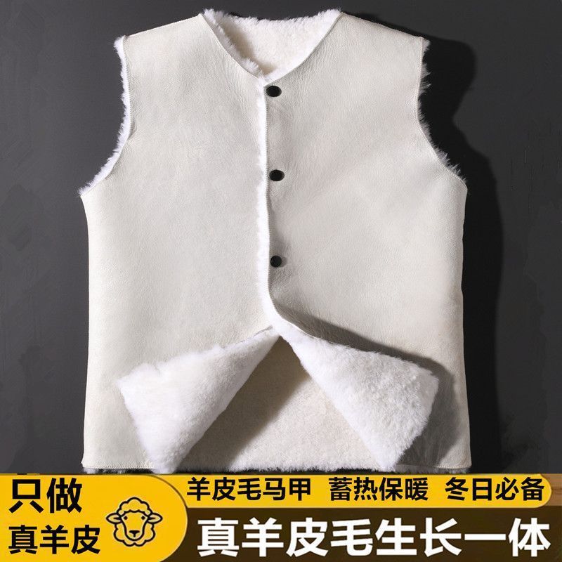 1纯羊皮毛马甲男女中老年坎肩整张羊皮毛一体保暖外套羊皮背心|undefined