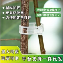 �@ˇֲ��̶��A���t���޽ӊA�����A����֦�������ϻ��������̶��A