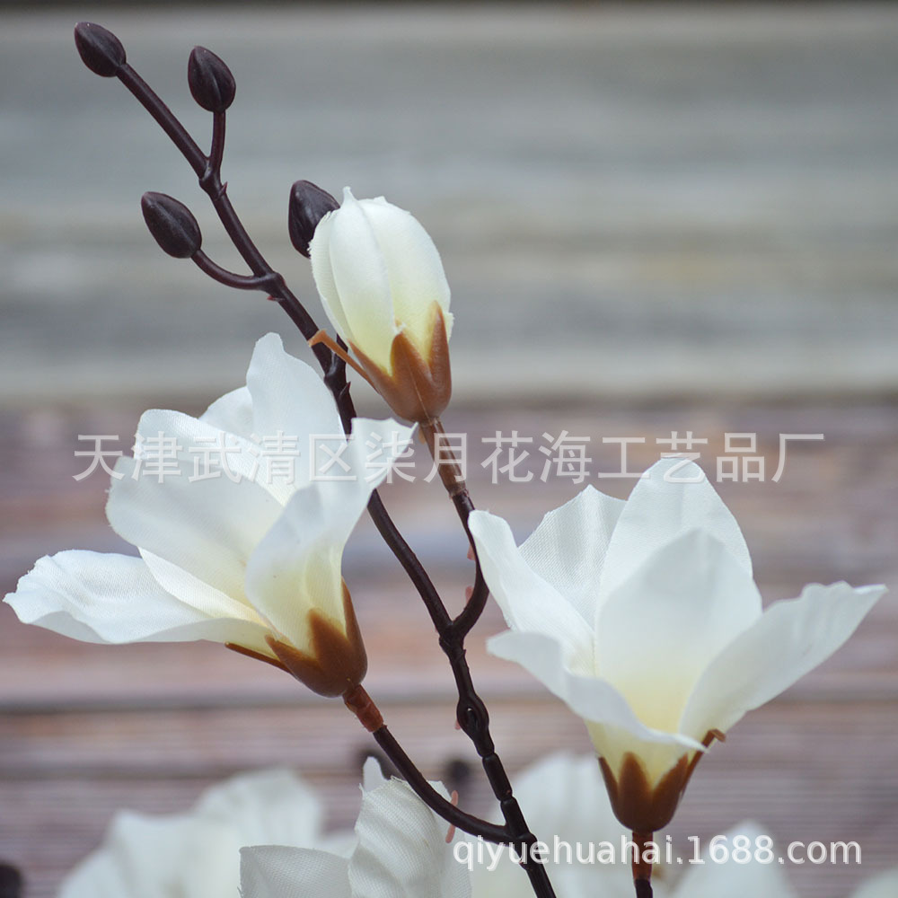 Flor artificial transfronteriza 5-tenedor Magnolia decoración del hogar otoño mango haz Phalaenopsis jardín Greening Taran Comercio exterior flor falsa