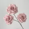 Leather Pink