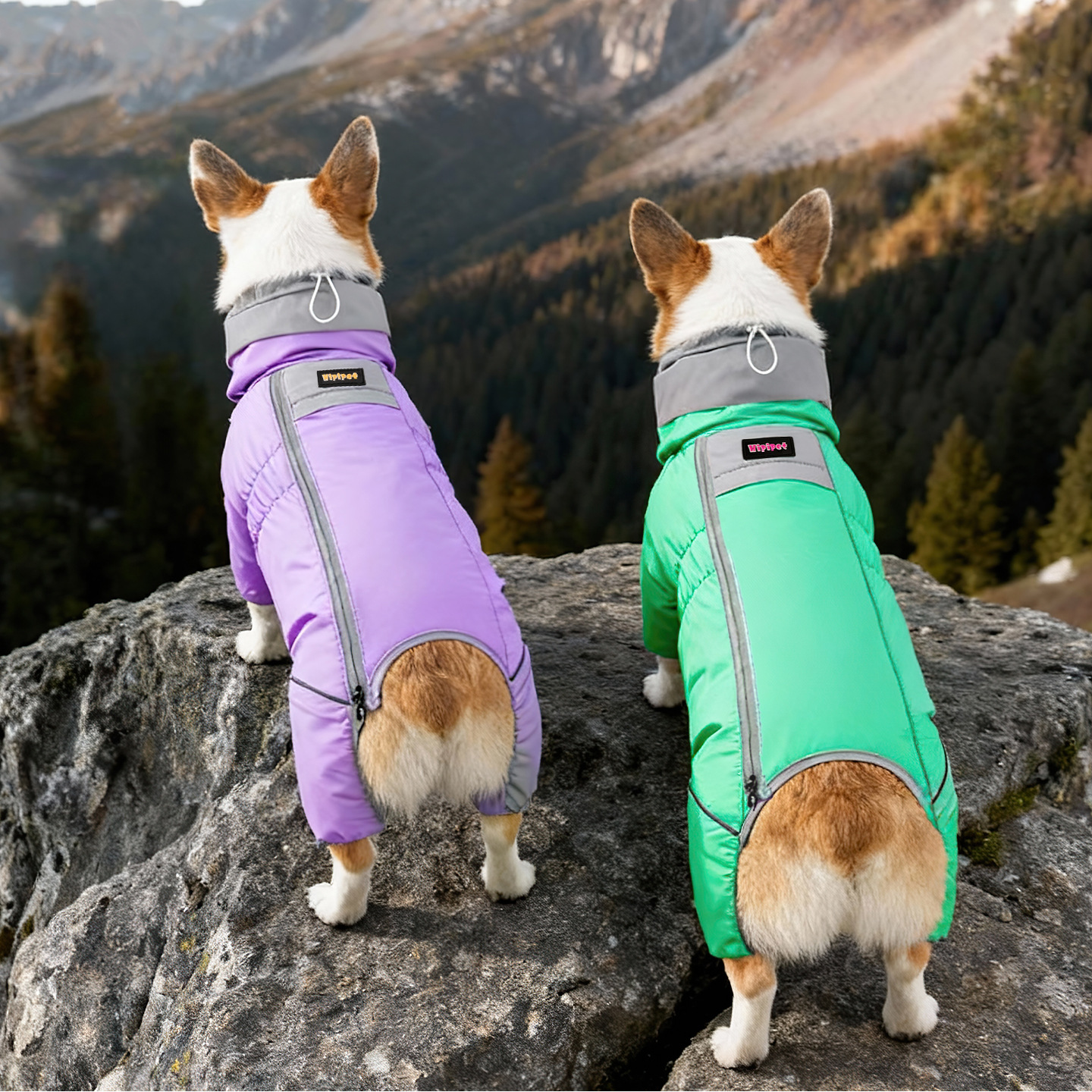 Otoño y invierno nuevo tipo de tres anti-corgi carga cálida y gruesa capa de algodón encapuchada perros pequeños y medianos perros y gatos ropa de salida