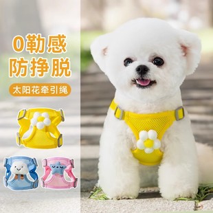 Puppy Leash Small Size Dogs Teddy Bichon Pomeranian Puppy Harness Cat Pet Dog Leash Dog Walking Rope