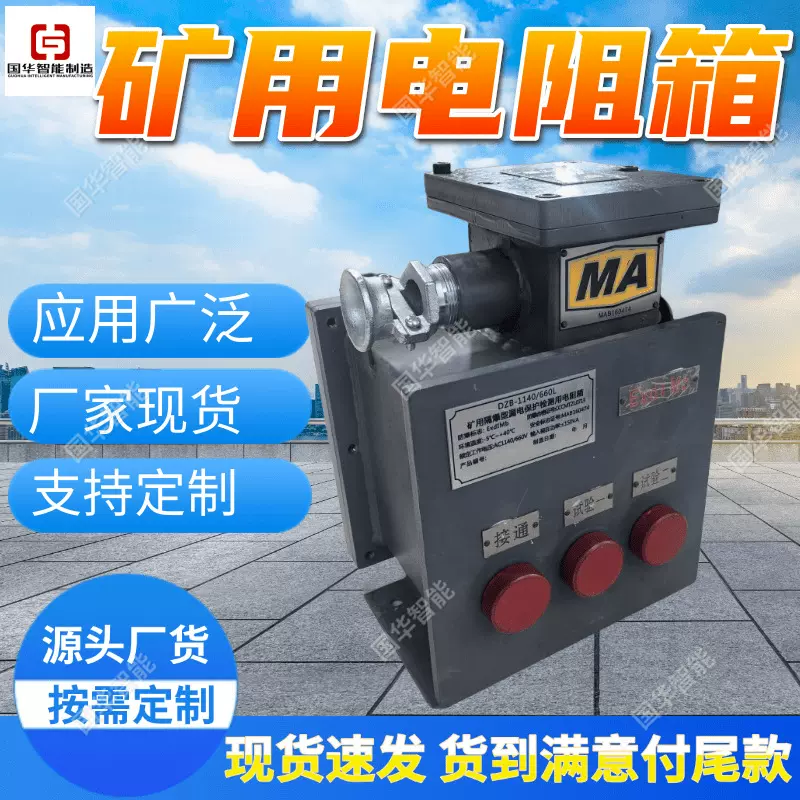 支持定制矿用电阻箱 国华智能隔爆型电阻箱  DZB-1140隔爆型电阻
