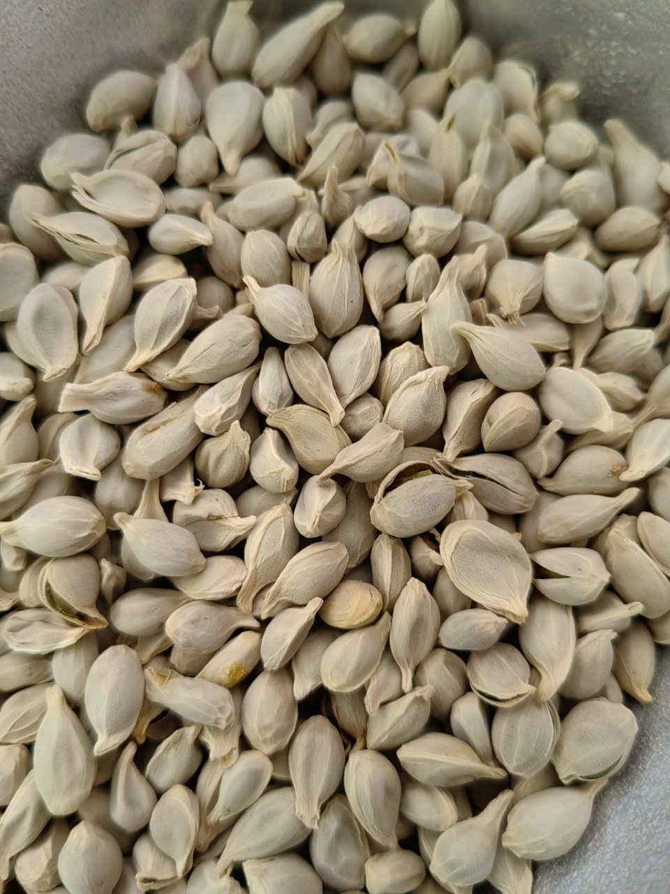 Ju He (Citrus reticulata Seed) — Dried Tangerine Seed for Herbal Decoction & Tea in use