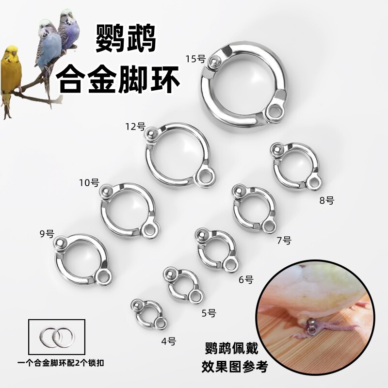 Parrot Foot Ring Bird Foot Ring Foot Accessories Bird Activity Opening Loop Buckle Supplies Bird Buckle Bird Foot Ring Parrot Foot Ring Bird Foot Ring Foot Accessories Bird Activity Opening Loop Buckle Supplies Bird Buckle Bird Foot Ring