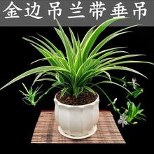 ��߅�������~���mֲ�������_�����������k���҃��ļ����B�Gɫ���