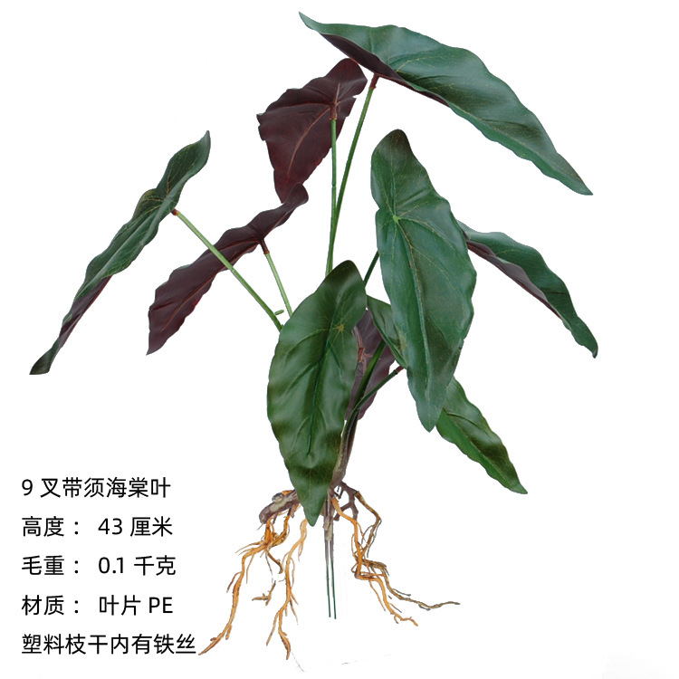 9-tenedor HOJA DE Begonia con barba