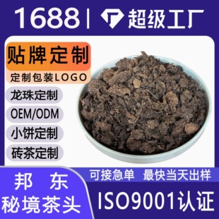 Դ�^���� 2021 ��|�ؾ����^ ����ն��ϲ��^ ���^ԭ�ϰl��