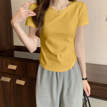 ��������绡��2025��Ҏ�����@�A�I͸������O���LT��