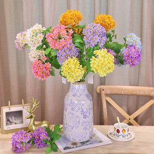 ����Ʒ���R�ƻ�ˇ72CM����2�^ӭ���ս��� �羳�҃����bA�F����