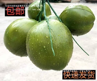 �����Ҭ����Ҭ��Ҭ������Ҭ�Ә�����ϵ��� ����ˮ����ˮ���b�