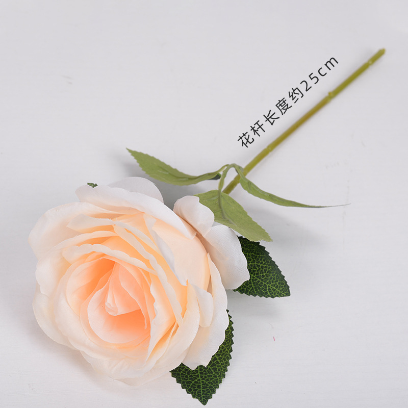 Bobo ball rose champagne color