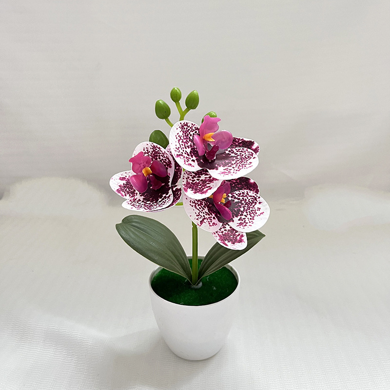 점박이 보라색 (높이 20cm 폭 11cm)