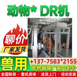 牛马羊用全身拍片DR成像系统厂家 动物园兽医站悬吊牛用DR