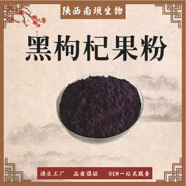 黑枸杞果粉水 溶黑枸杞果汁粉 固体饮料原料