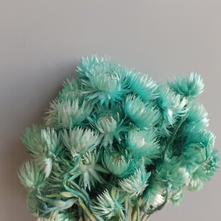 �M����ʯ����ѩɏС�r���������ɻ������Ӽҕ���ܛ�b�b�DIY����