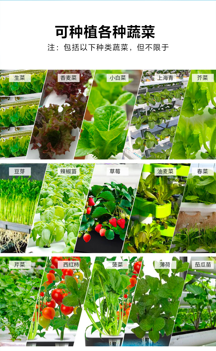 智能照明控制面板 6路 欢迎前来洽谈