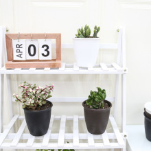 SlPPAϻ滨ٻbֲqZʯĭ