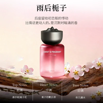 Car Perfume Aromatherapy – Car Air Freshener Odor Removal - wangyue-aromatherapy-gardenia-after-the-rain