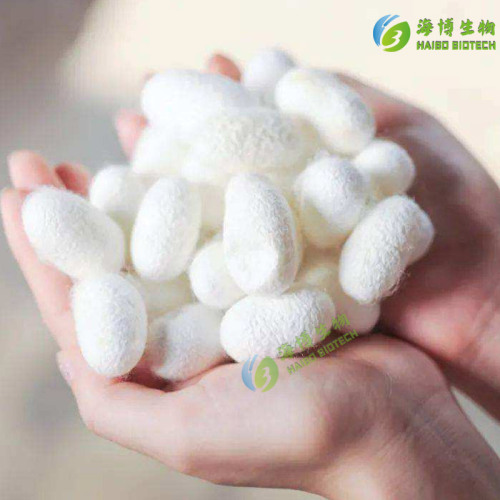 Silk Amino Acids 99% Supplied by Haibo Silk Protein Amino Acids Silk Extract Amino Acid Powder