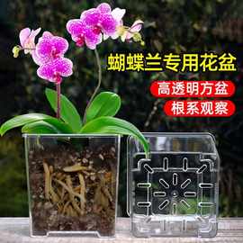 亚克力玻璃方形透明花盆塑料种植盆向日葵蝴蝶兰花盆家用套盆