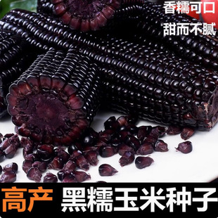 �����ɫˮ�����׷N�Ӵ�����ɫ��Ƥ���׷N���ӱ��{��������׷N��