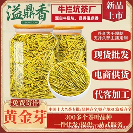 白茶;再加工茶;乌龙茶