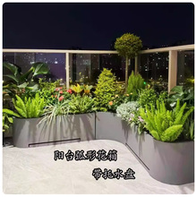 �e���̨ͥԺ�쾰�սǻ���M�ώ���ˮ�P���β��P��D�ǷNֲ������