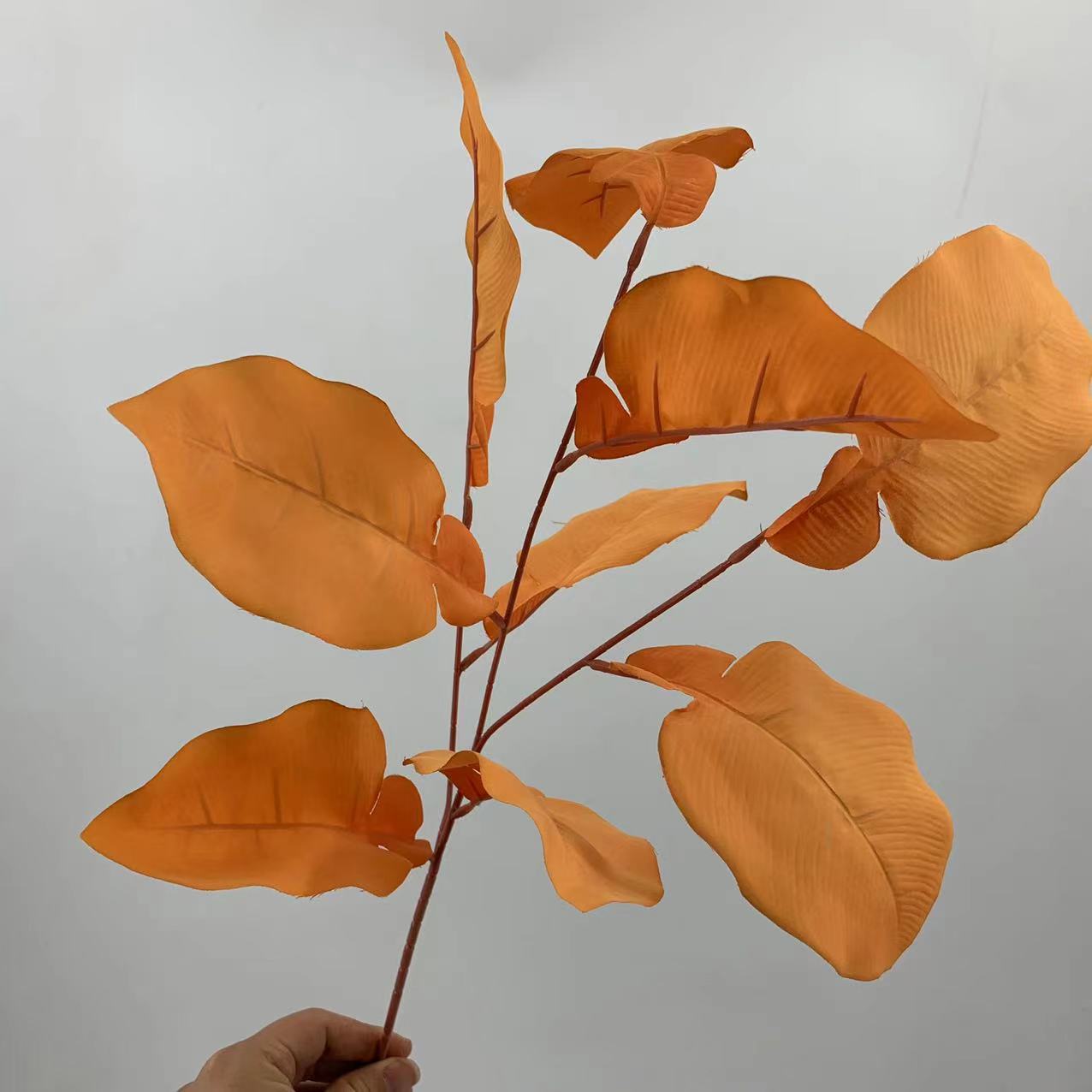 Grapefruit leaves-autumn orange