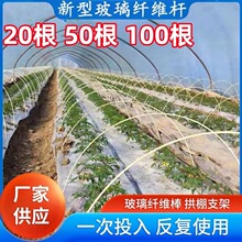 �����w�S����֧�܌���֧�Ηl�ˈ@���ϰ�����N�ˏ����ܗU������