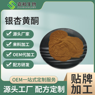 銀杏黃酮24% 銀杏內酯6% 植物萃取原料  西安嘉和 現貨包郵