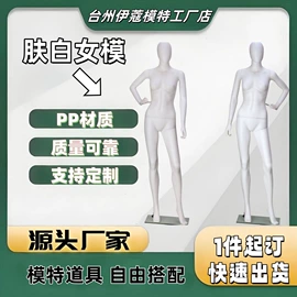 模特