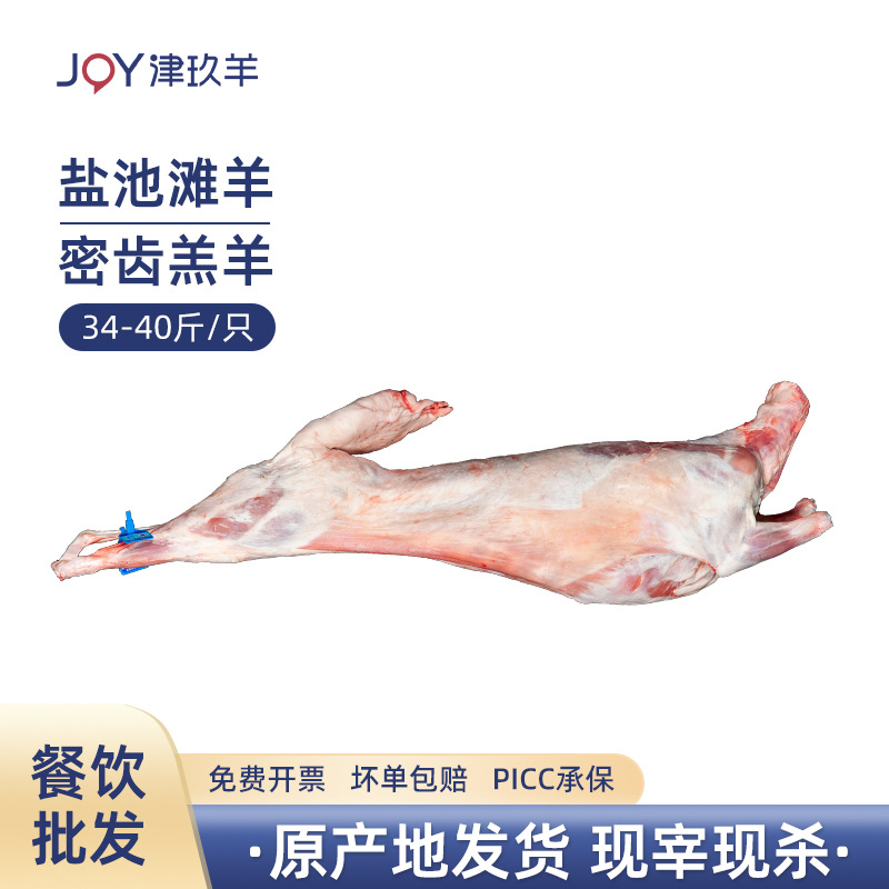 宁夏盐池滩羊密齿羔羊白条羊羊胴体全羊整只羊带尾巴烧烤火锅食材|ms