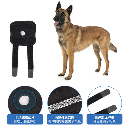 Pet Dog Knee Support Joint Guard Patella Protection Assists Rehabilitation Canine Feline Ligament Joint Dislocation Protection