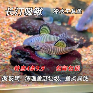 ��ˮ����� ��ˮ���q�~ �坍�~�׹����~�p���P�����q���~�S�����~