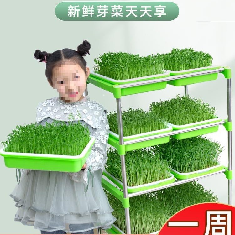 豆芽发芽盆水培蔬菜设备豌豆苗种植架无土栽培托家用芽苗菜育苗盘