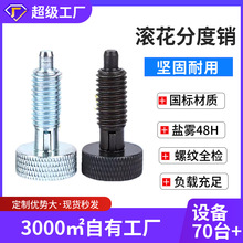 CNC加工不锈钢滚花头旋钮柱塞 不带定位伸缩销 止动销复位分度销