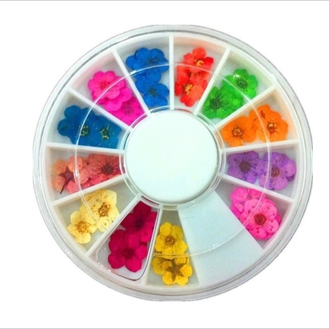Nail 12 -color dried flowers nail box dry flower nail jewelry nail…